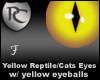 Yellow Dragon / Cat Eyes