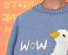𝒊. Duck Sweater