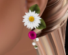 Fuchsia Daisy Earrings