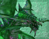 Midori Green Dragon