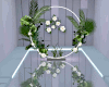 Blossom Photo Room