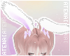 ❄ Fluffy Bunny Lilac