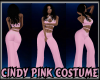 Cindy Pink Costume