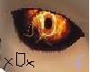 [xOx] Fire Eyes
