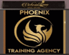 Phoenix Academy Bundle