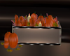 [CI]AutumnPhaze Pumpkins