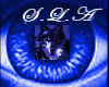 blue glow wolf eyes