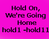 Dj song hold on