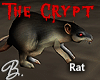 *B* The Crypt Rat