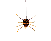 Spider Halloween No Pose