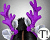 T! Santa Baby Purp Bdle