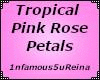Tropical PinkRosePetals