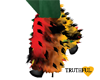 ~TRH~RASTA FEATHER BOOTS