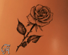 Rose Tattoo
