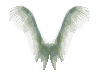 Animated Angel Wings