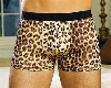 Boxer Brief Leopard 