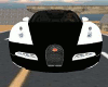 Bugatti 2010 white n blk