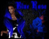 Blue Black Mini Hairstyl