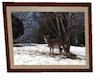 frame with deer pic