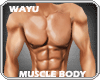 [wayu]Perfect Muscles