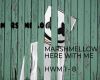 MARSHMELLO HEREWTME