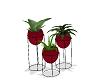 *wc* plants   red  vase
