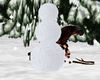 build a snowman/anim