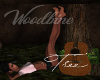 !!aA Woodbine Tree Aa!!