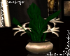 (BR)Flower Pot