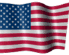 USA Waving Flag (Small!)