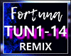 FORTUNA - REMIX