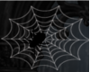 Spider & Web *Derivable