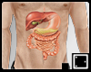 ♠ Digestive Tract