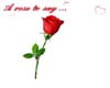 I Love you with Rose