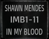 Shawn Mendes ~ In My Blo