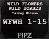 *P* Wild Flowers/Horses