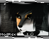 [x] Ahaou Head