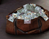 Moneybag