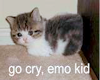 Go Cry Emo Kid