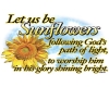 Sunflowers for God