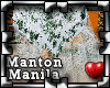 !P Manton de Manila 5
