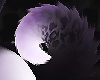 Summoning 2.0 Tail