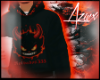 MVD 333