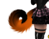 dog tail orange blk