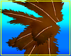 Angel Dragon Feathers