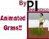 PI - AnimatedGrass