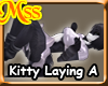 (MSS) Kitty Laying A