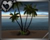 *Beach Palms 3
