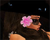 Flower 2