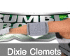 Dixie Arms